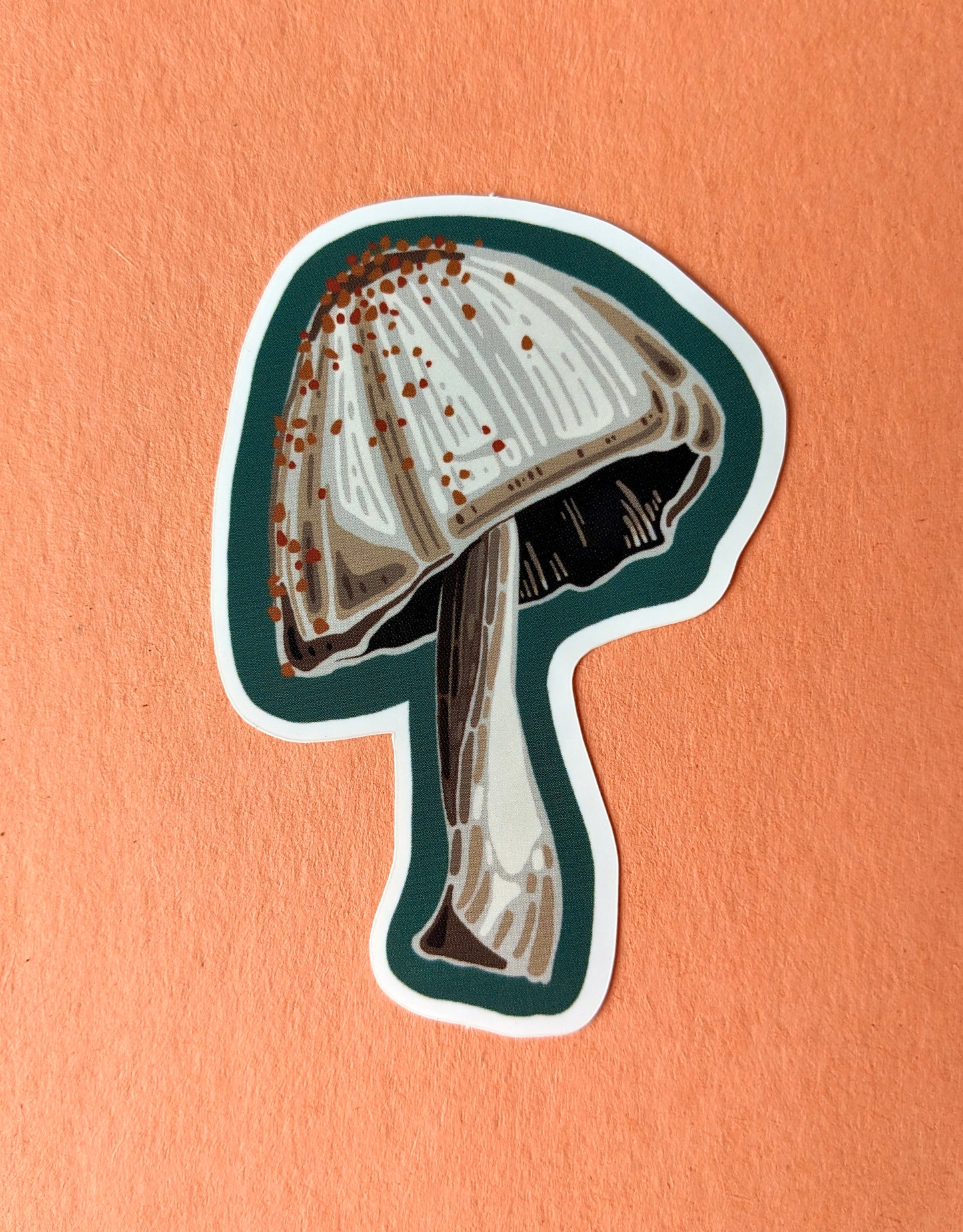 “Darling ‘room” - Sticker