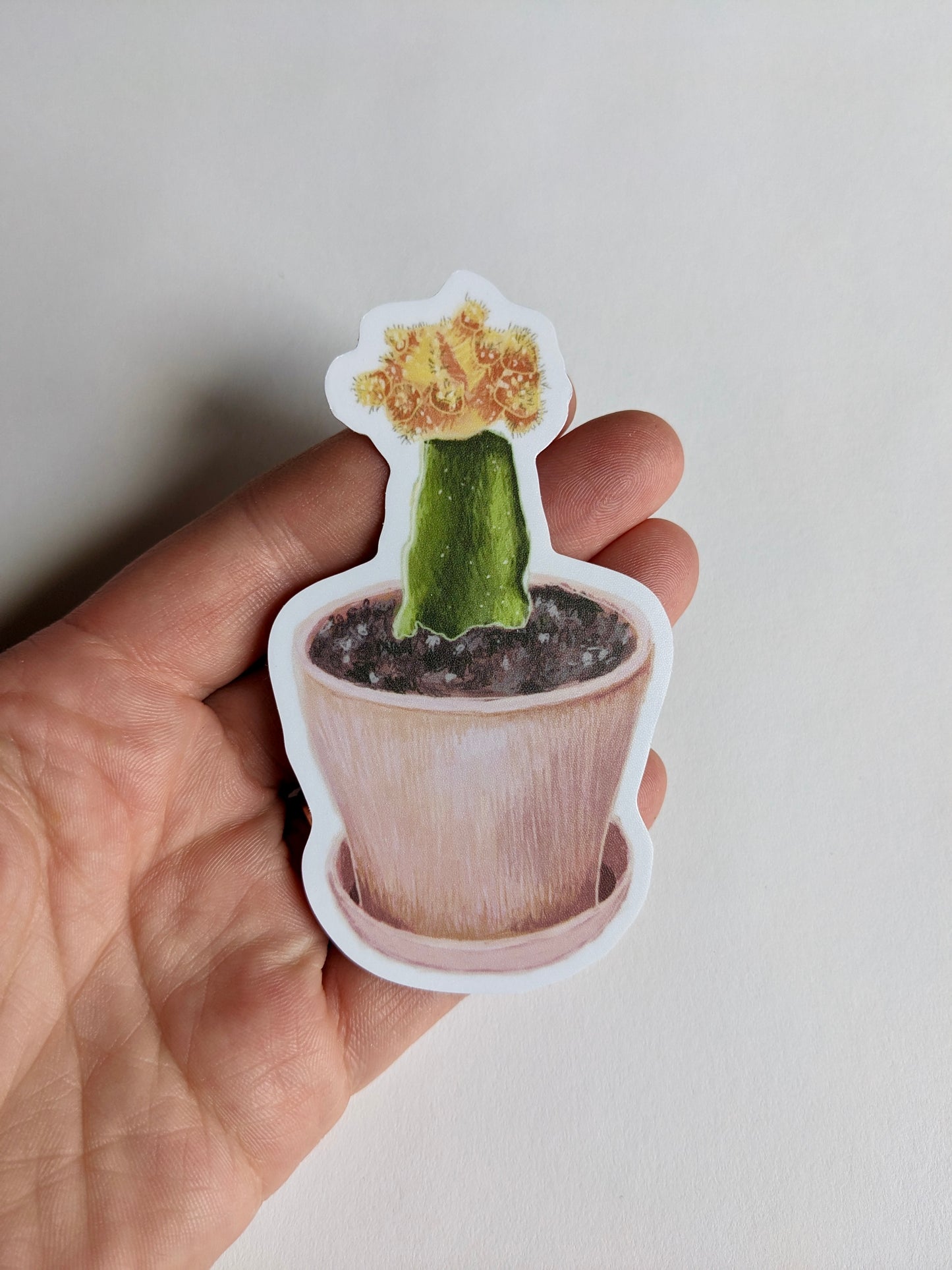 Cactus Sticker
