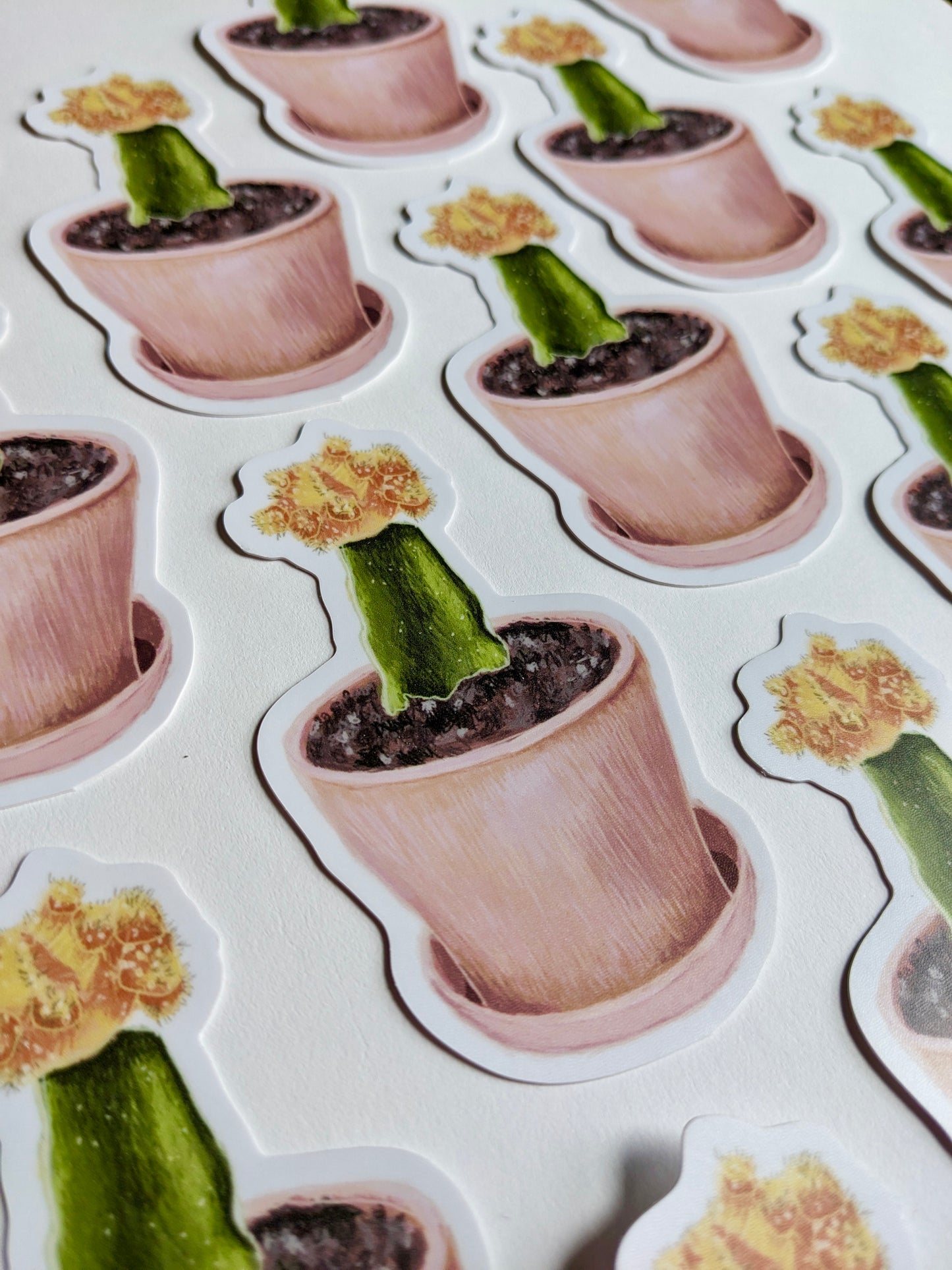 Cactus Sticker