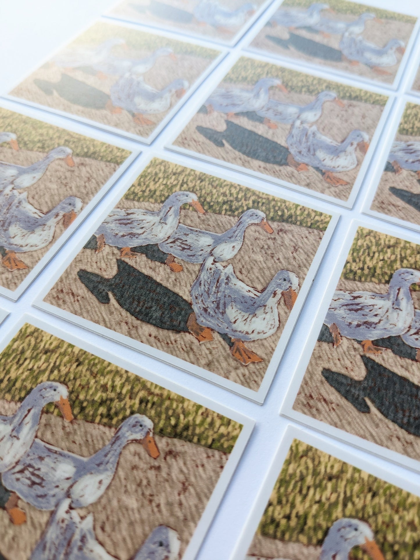 Duck Gang Sticker