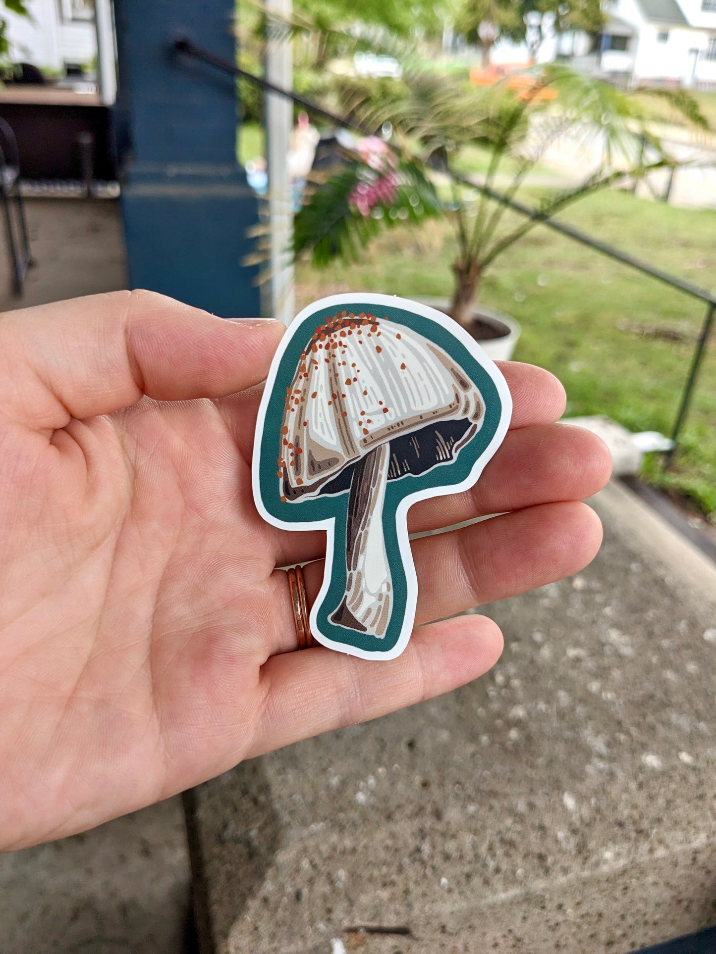 “Darling ‘room” - Sticker