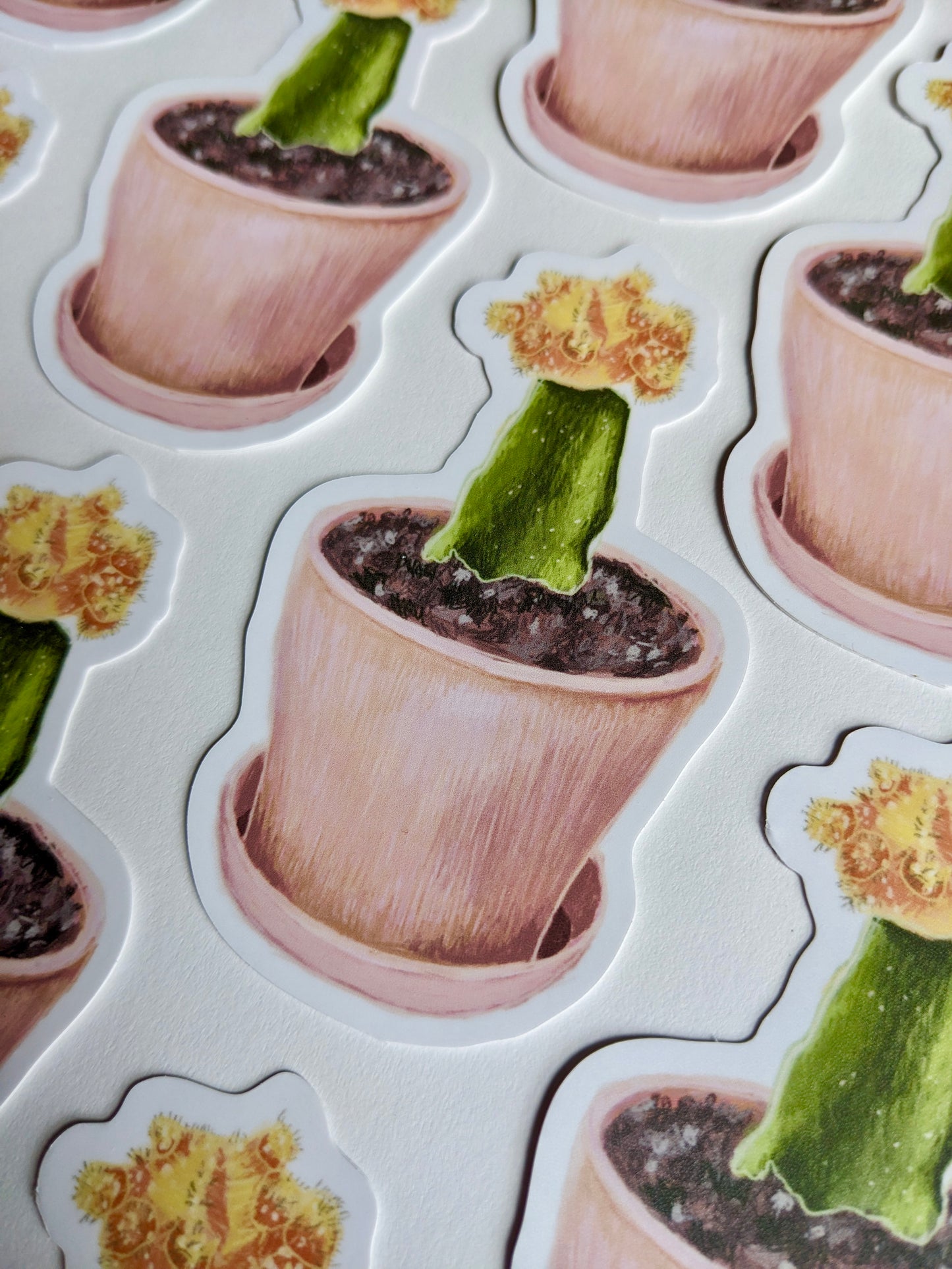 Cactus Sticker