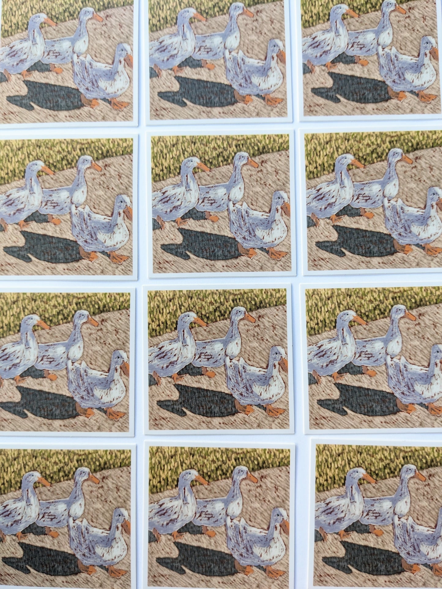 Duck Gang Sticker