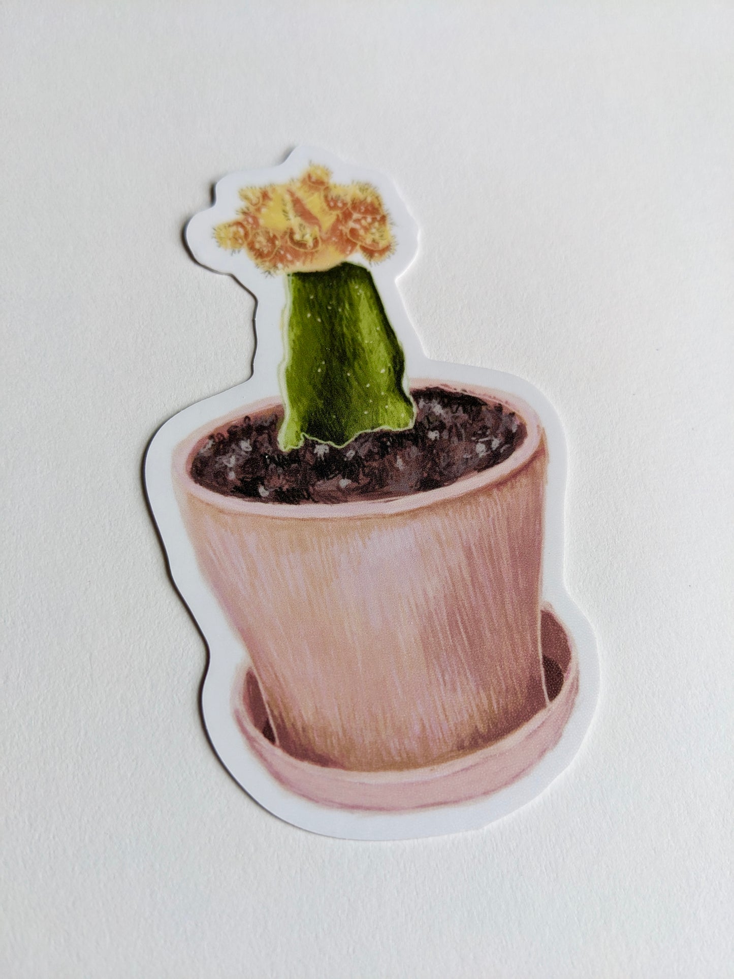 Cactus Sticker