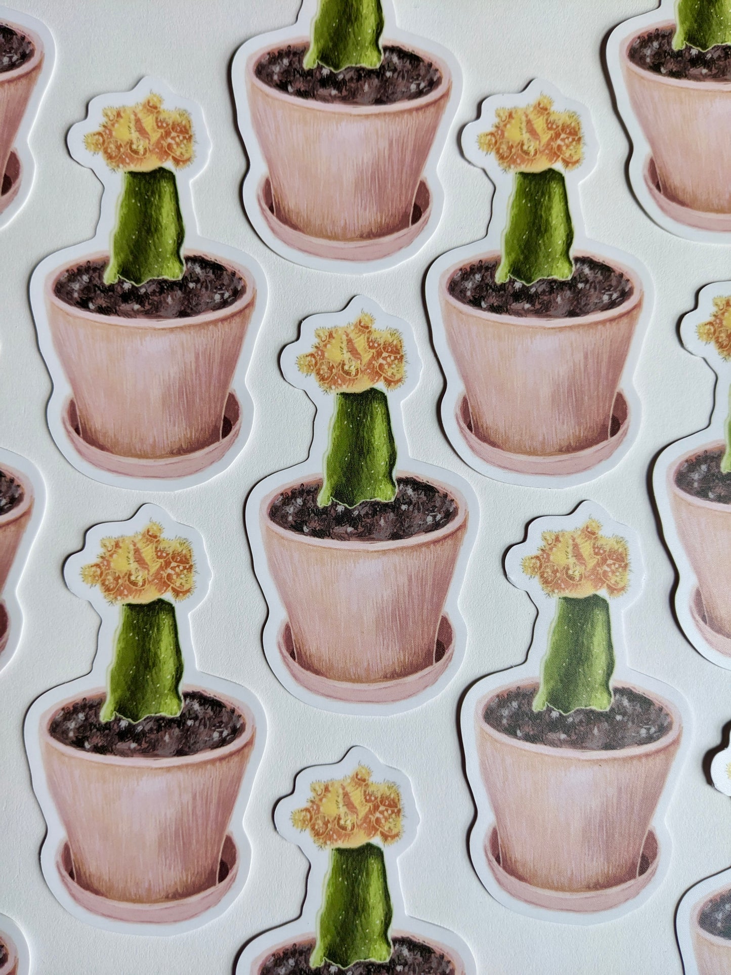 Cactus Sticker