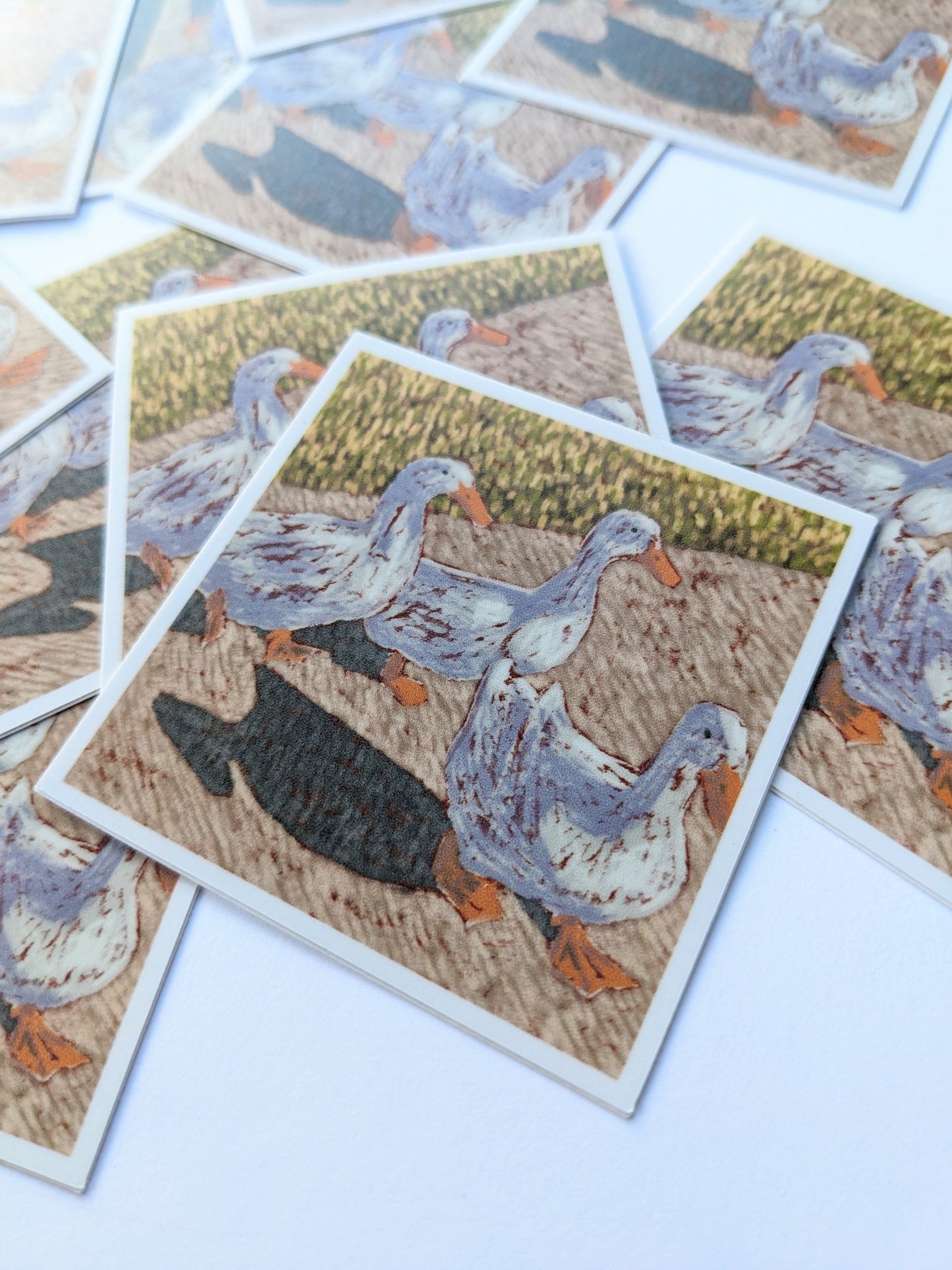 Duck Gang Sticker
