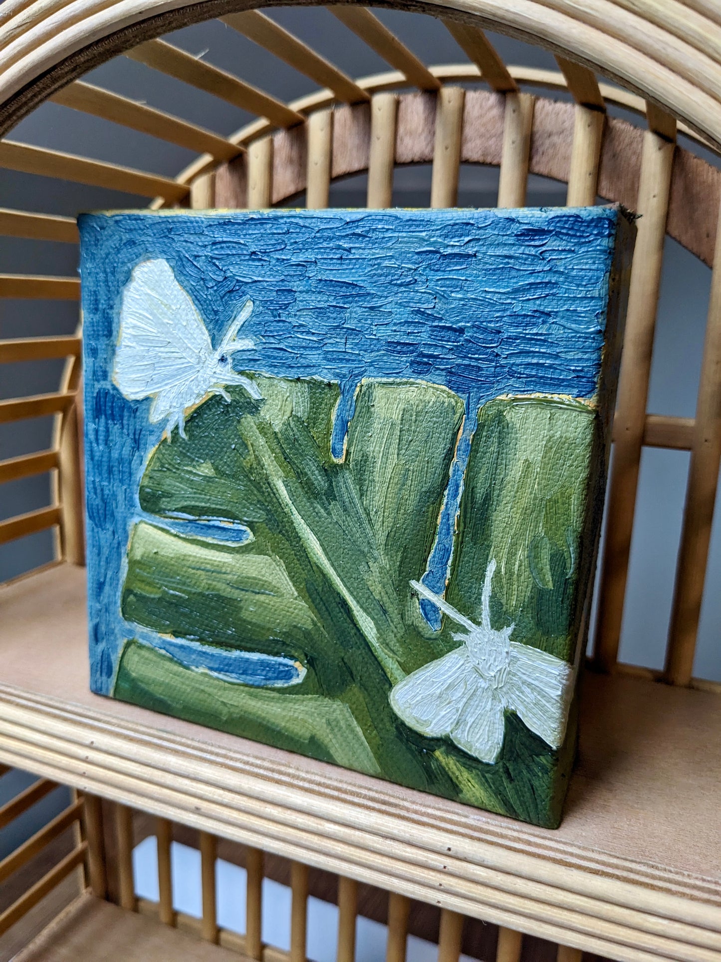 “Monstera Moths” - 4x4 Original Oil Painting