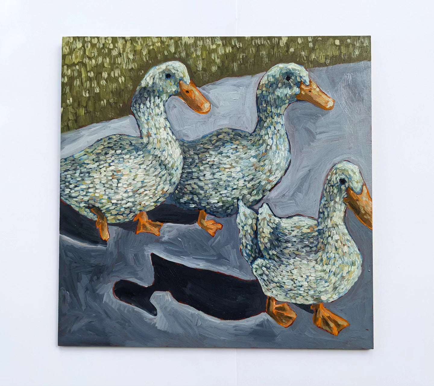 "Duck Gang" - 12x12 Original Oil Painting
