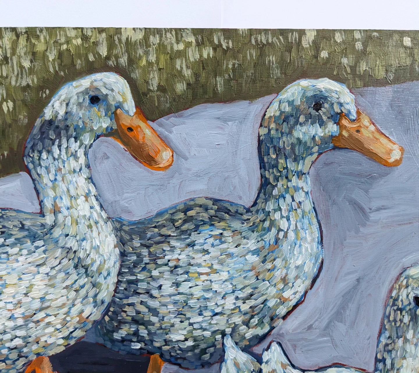"Duck Gang" - 12x12 Original Oil Painting