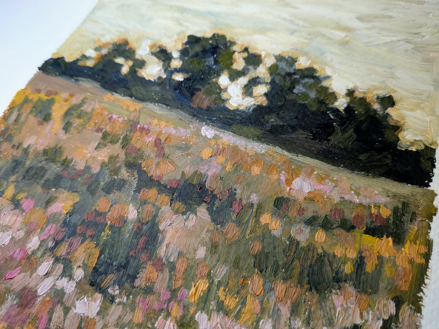 "Enjoy the Meadow" - 7 x 10 Original Oil Painting
