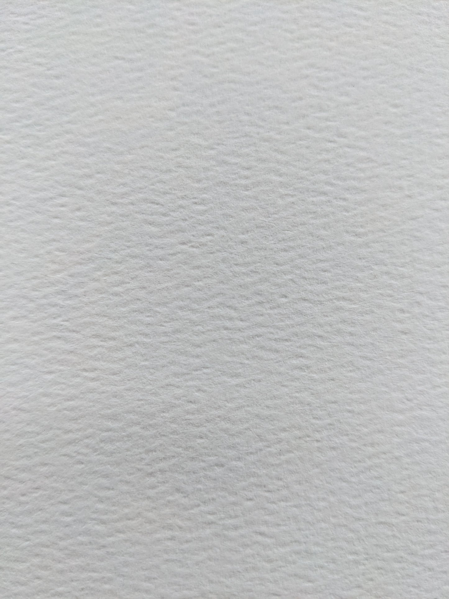 "Rugosa Rose Bids" - 5x5 Print