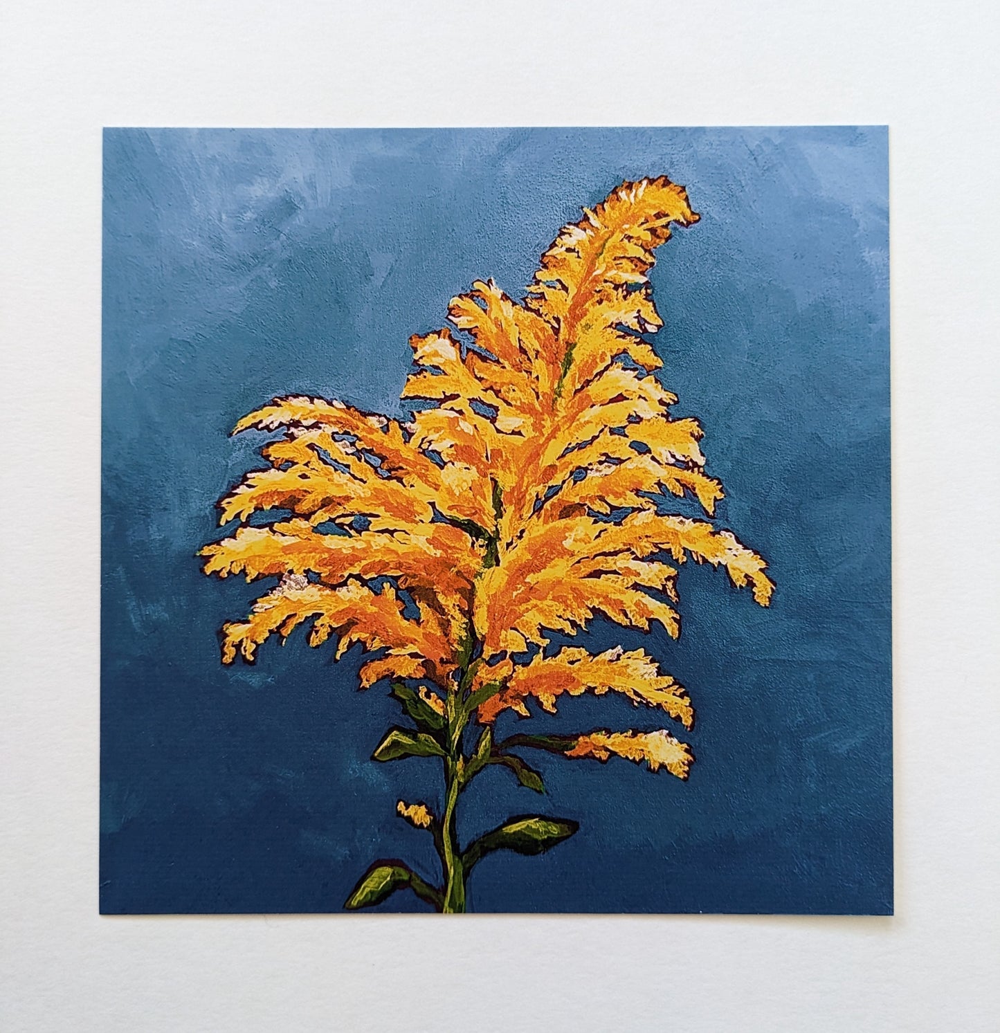 “Goldenrod” - 6” x 6” Art Print