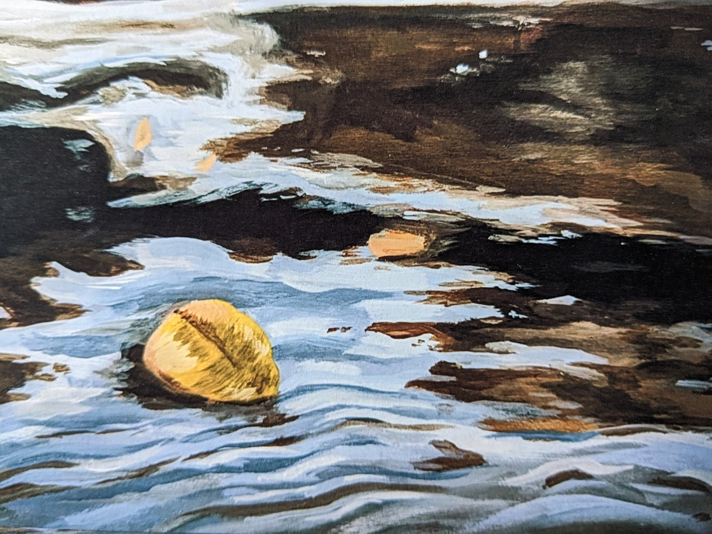“Floating Leaf” - 6” x 6” Art Print