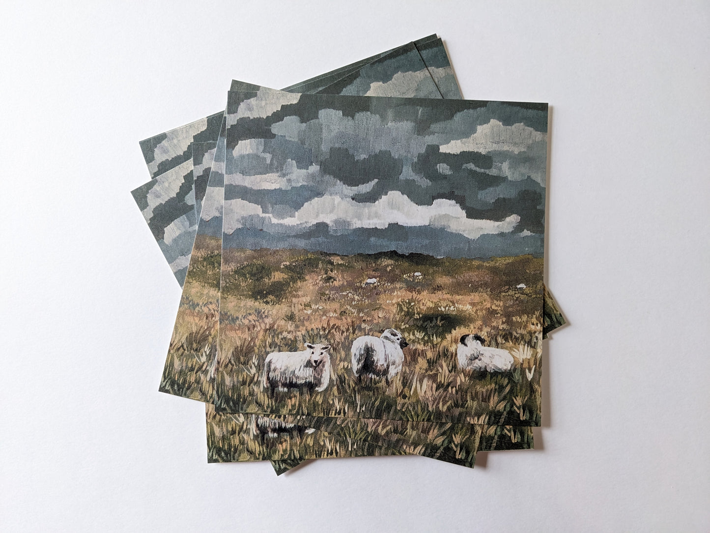 “Sheepies” - 6” x 6” Art Print