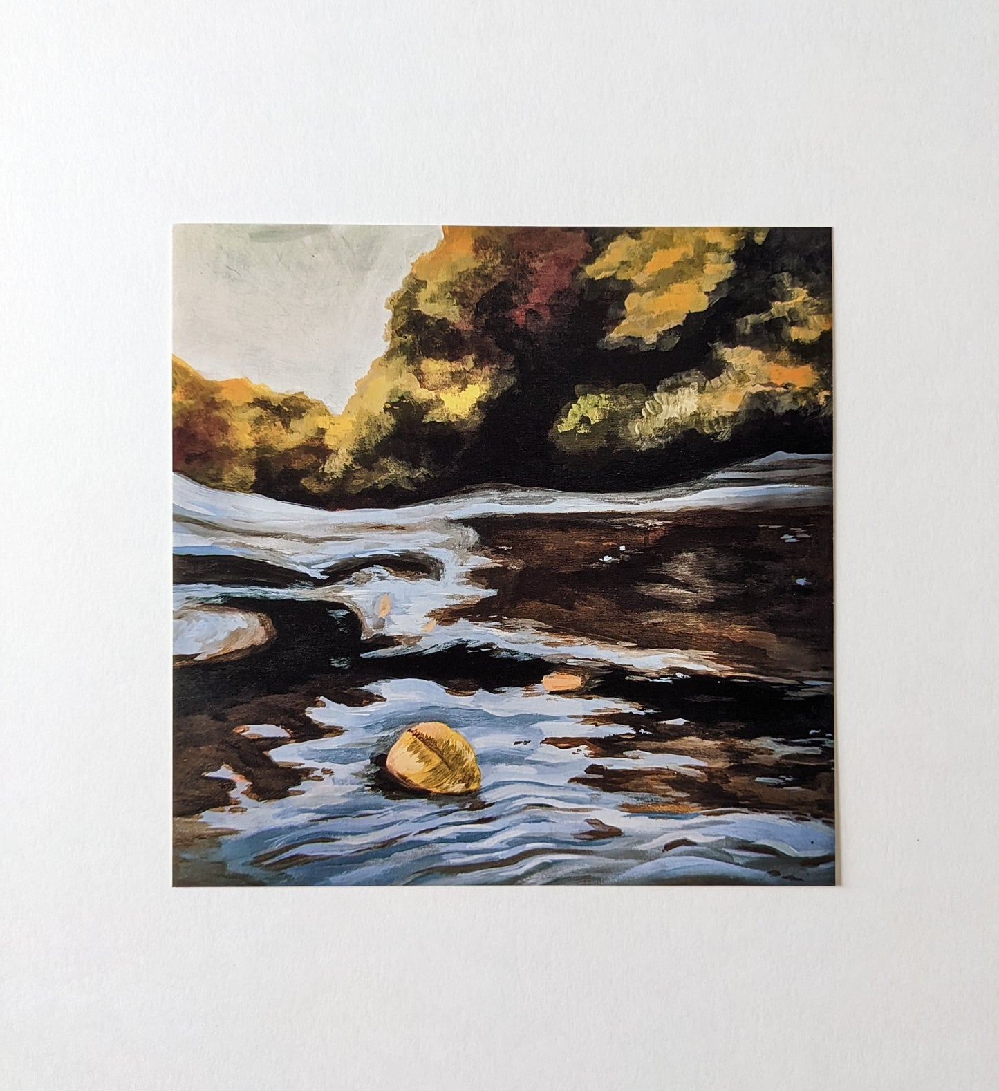 “Floating Leaf” - 6” x 6” Art Print