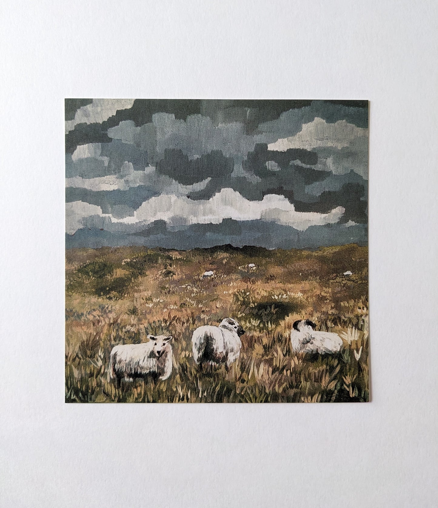 “Sheepies” - 6” x 6” Art Print