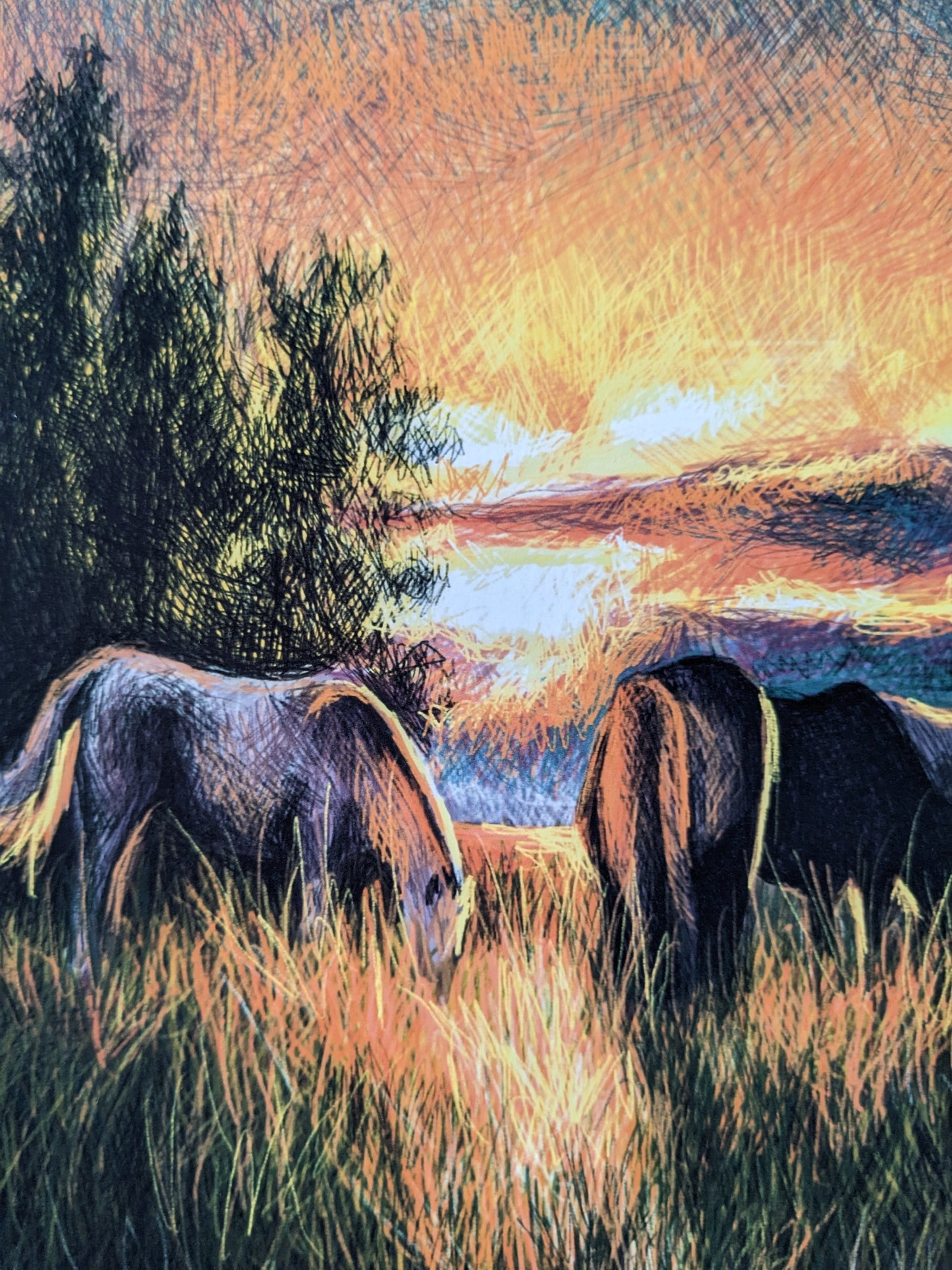 “Horse Sunset” - 9” x 11” Digital Art Print