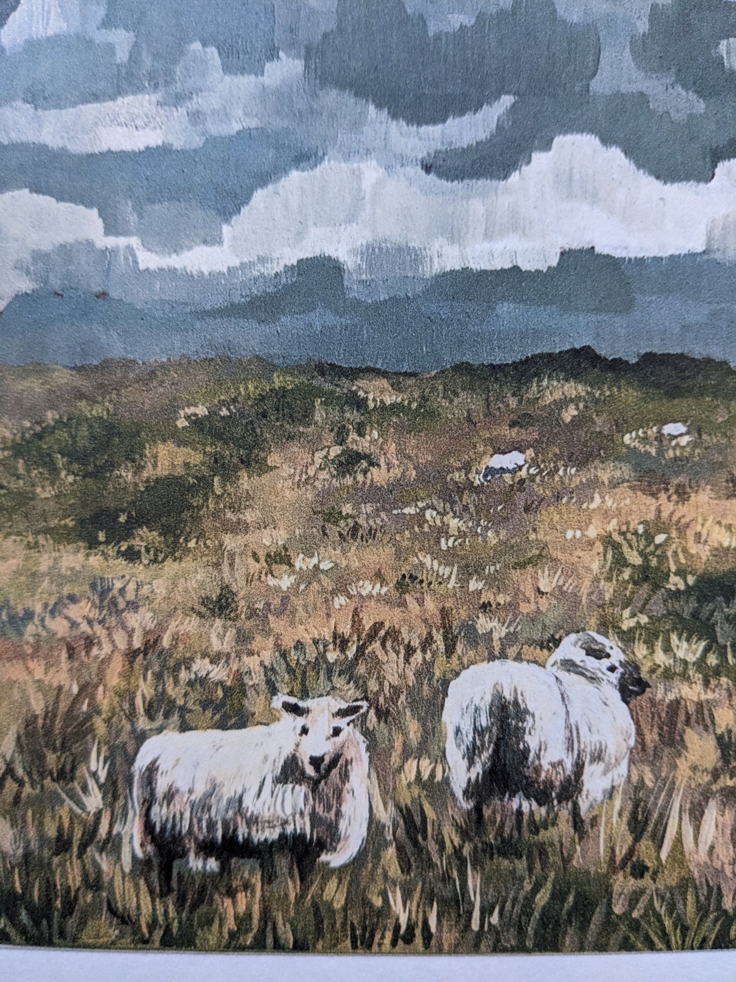 “Sheepies” - 6” x 6” Art Print