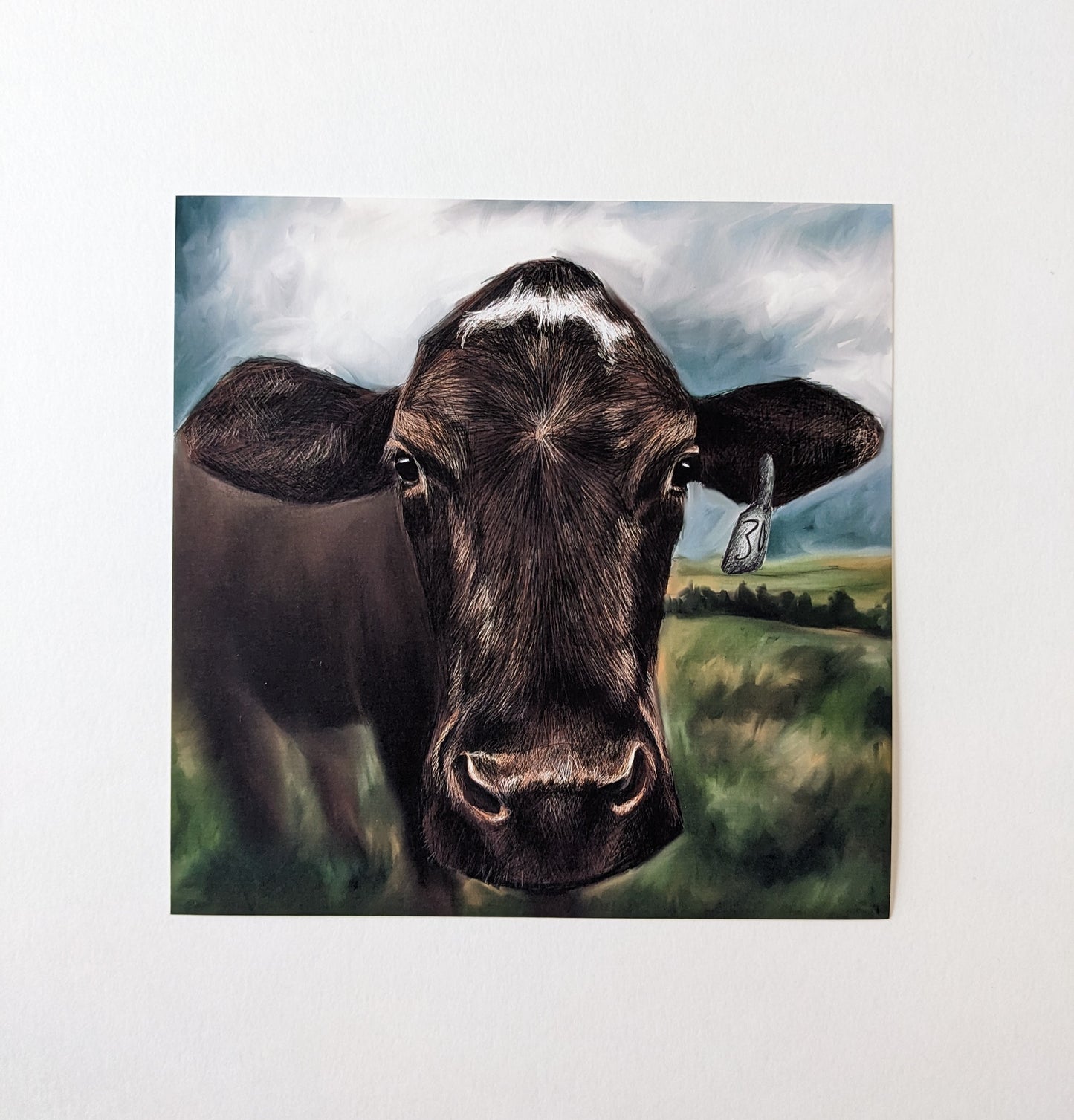 “Beefie” - 6” x 6” Digital Art Print