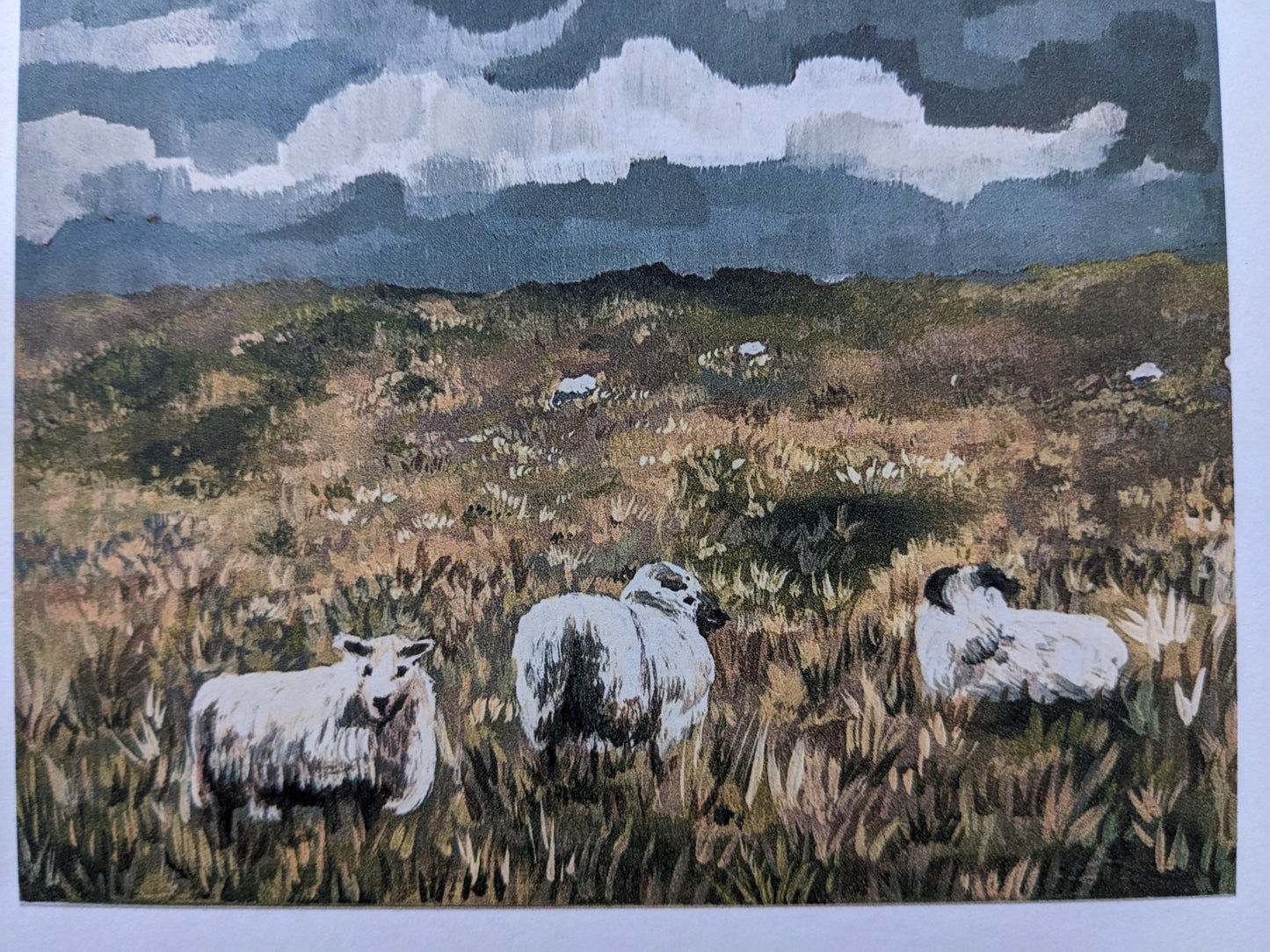 “Sheepies” - 6” x 6” Art Print