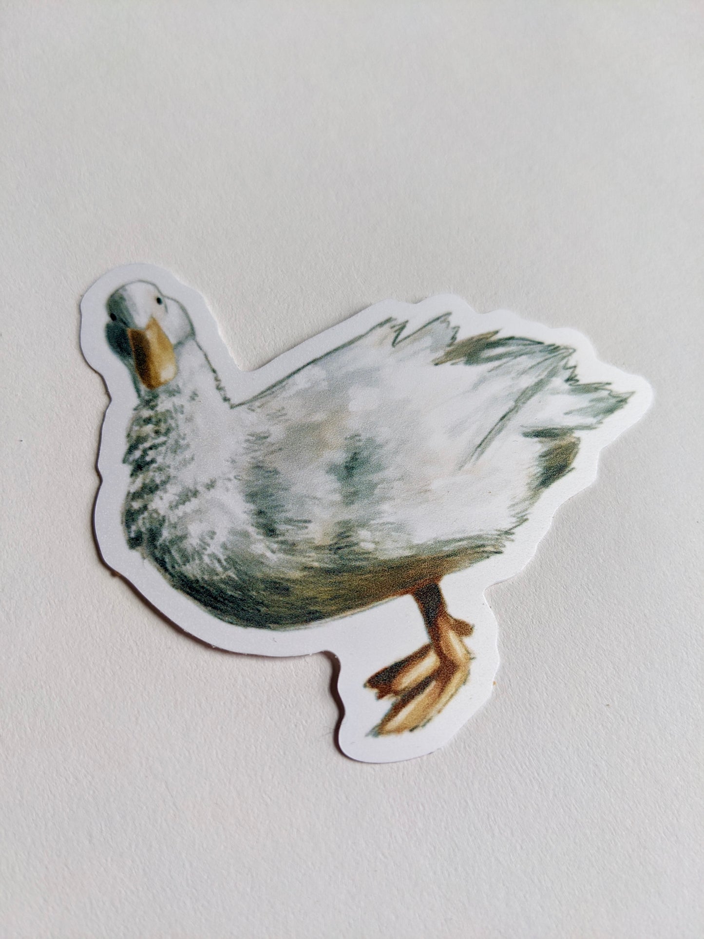 White Duck Sticker