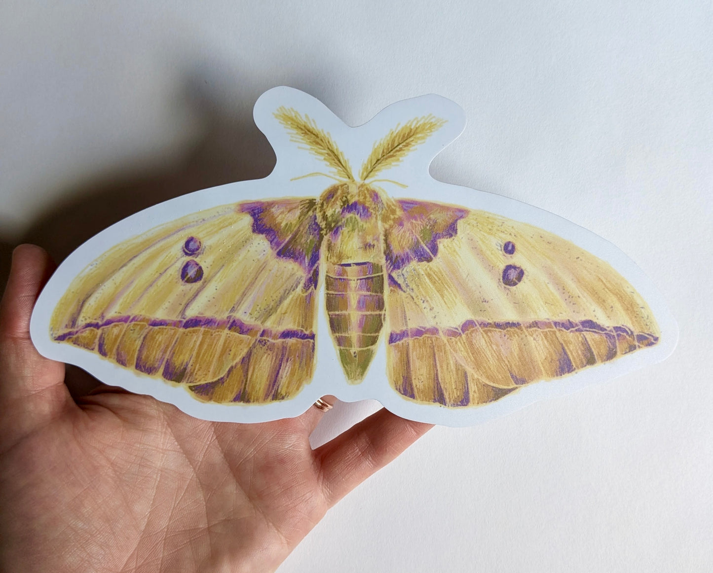 Gigantic Moth Sticker