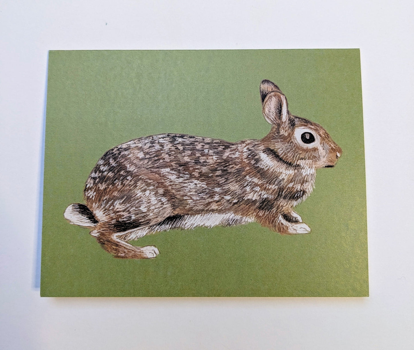 Greeting Cards - “Rabbit Cottage City”