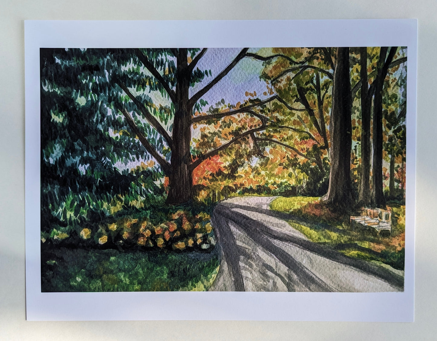 “Inniswood Metro Garden” - 8.5” x 11” Art Print