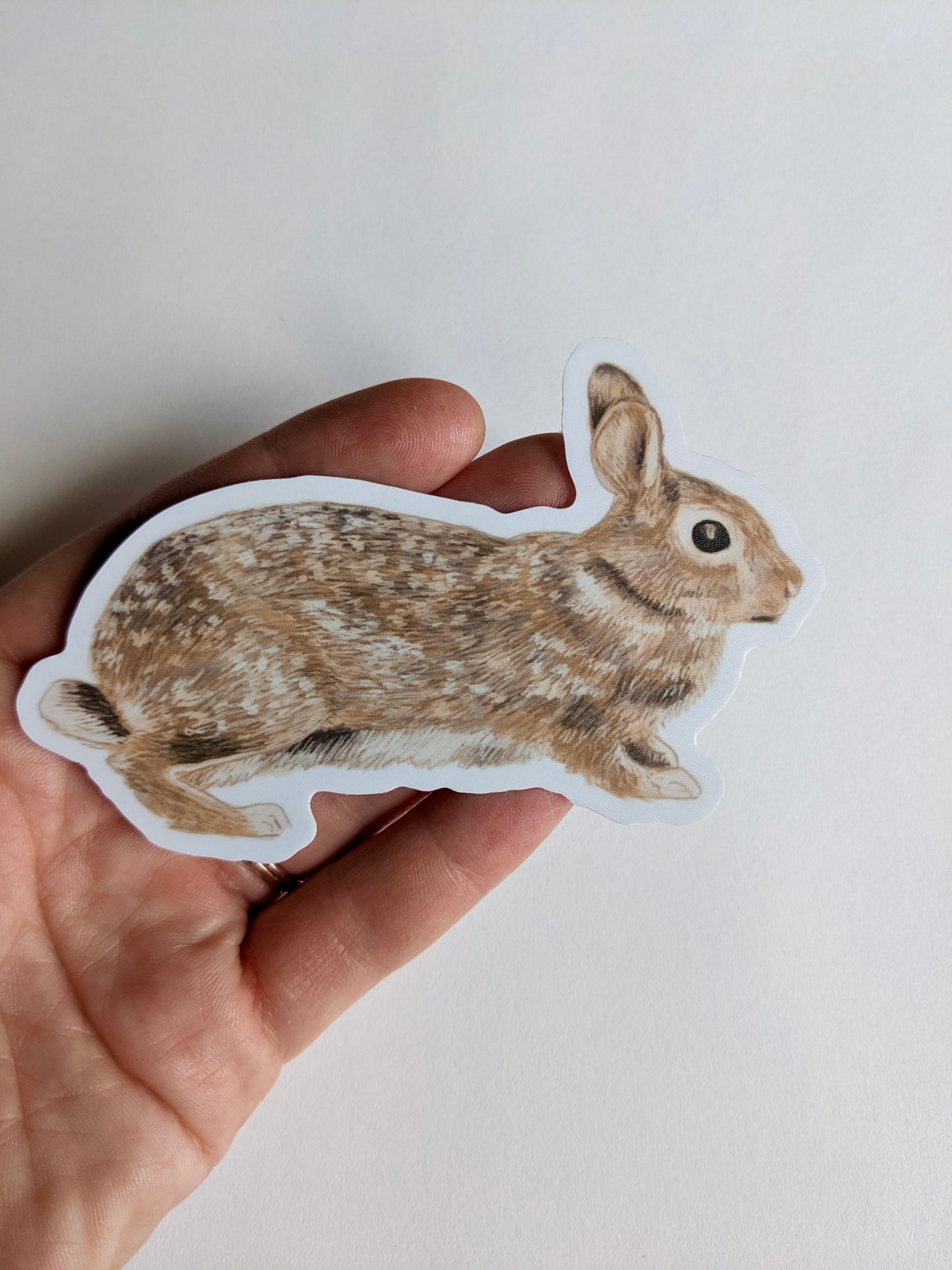 Bunny Sticker