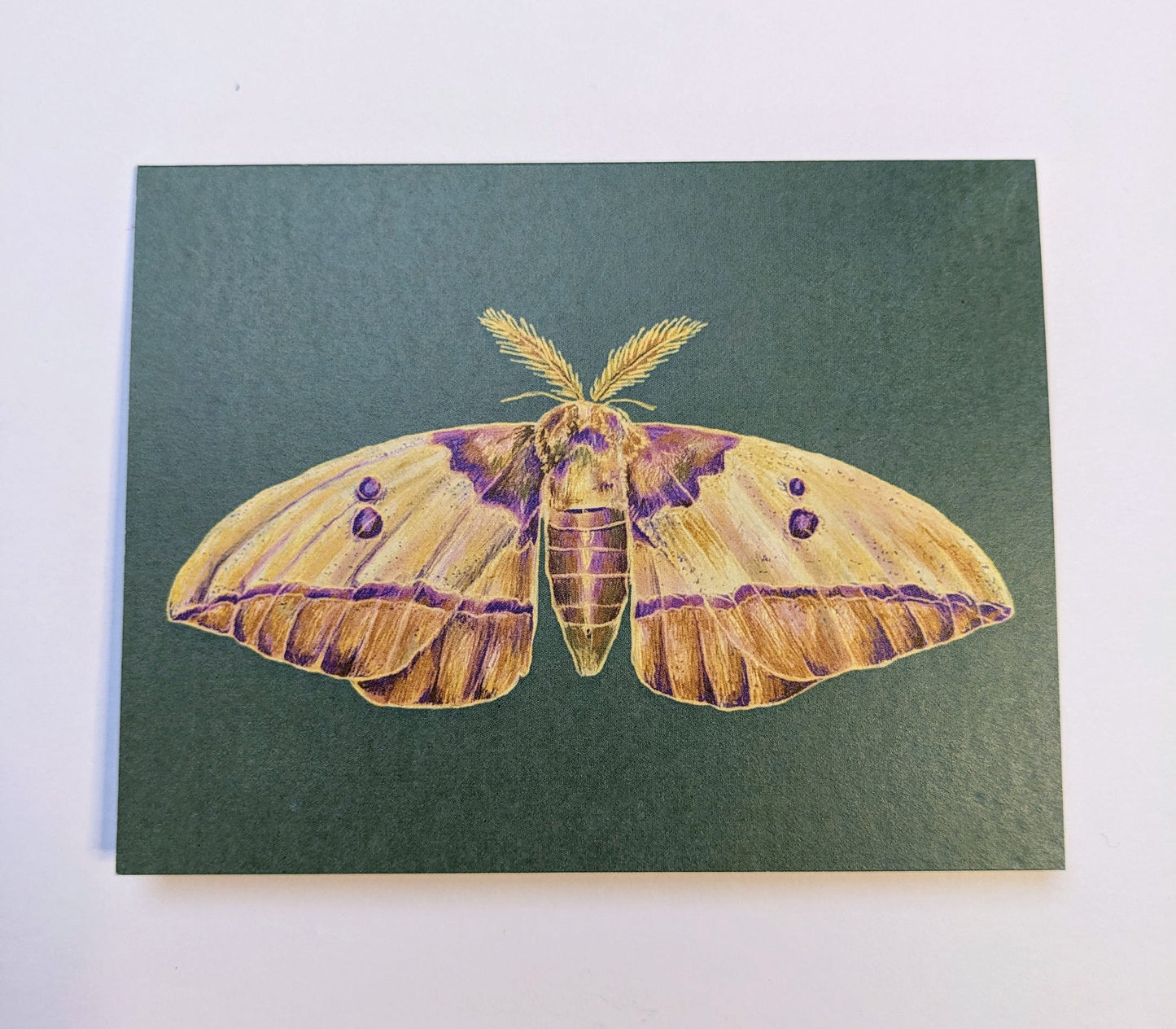 Greeting Cards - “Moth cottage City”