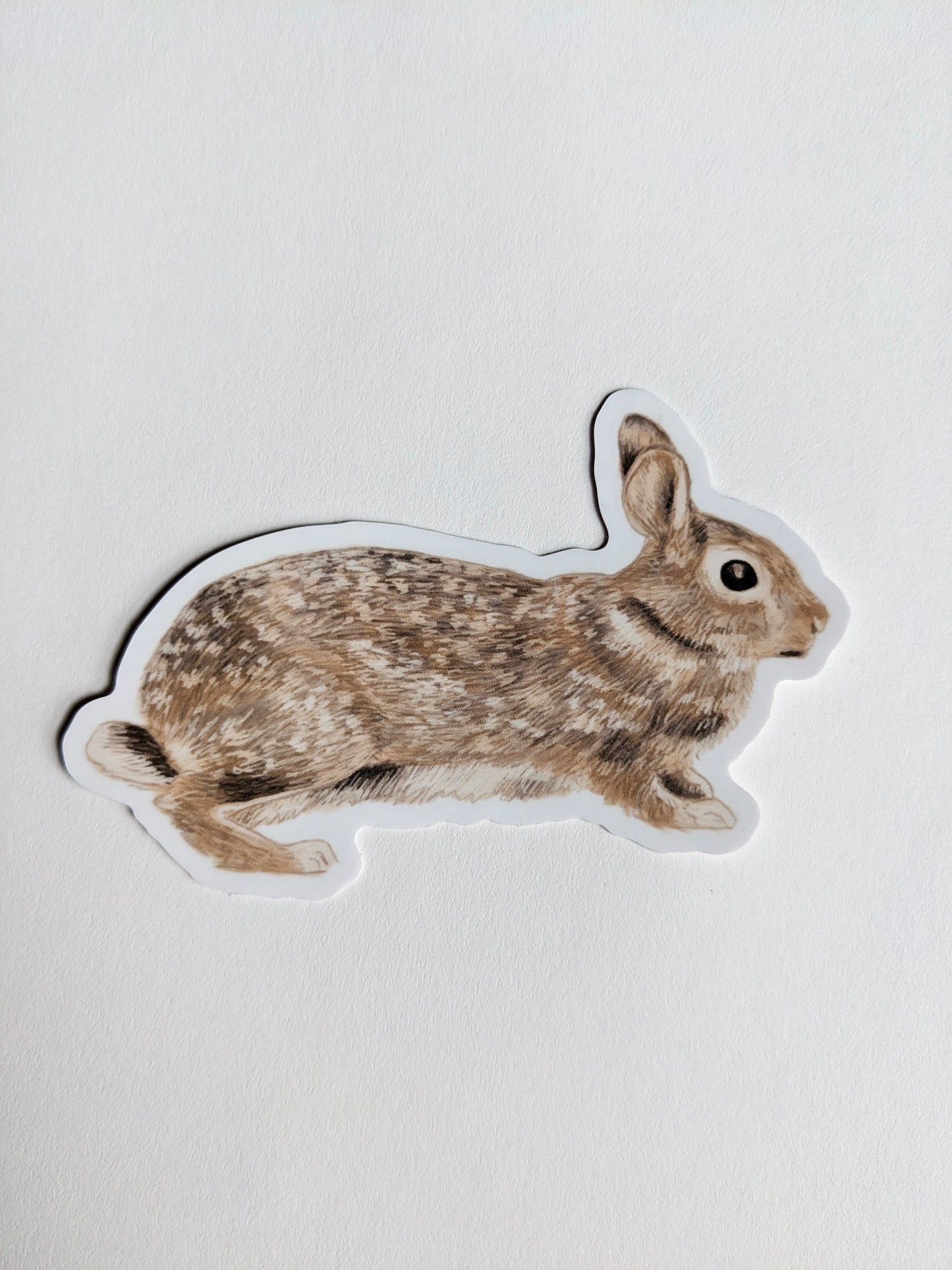 Bunny Sticker