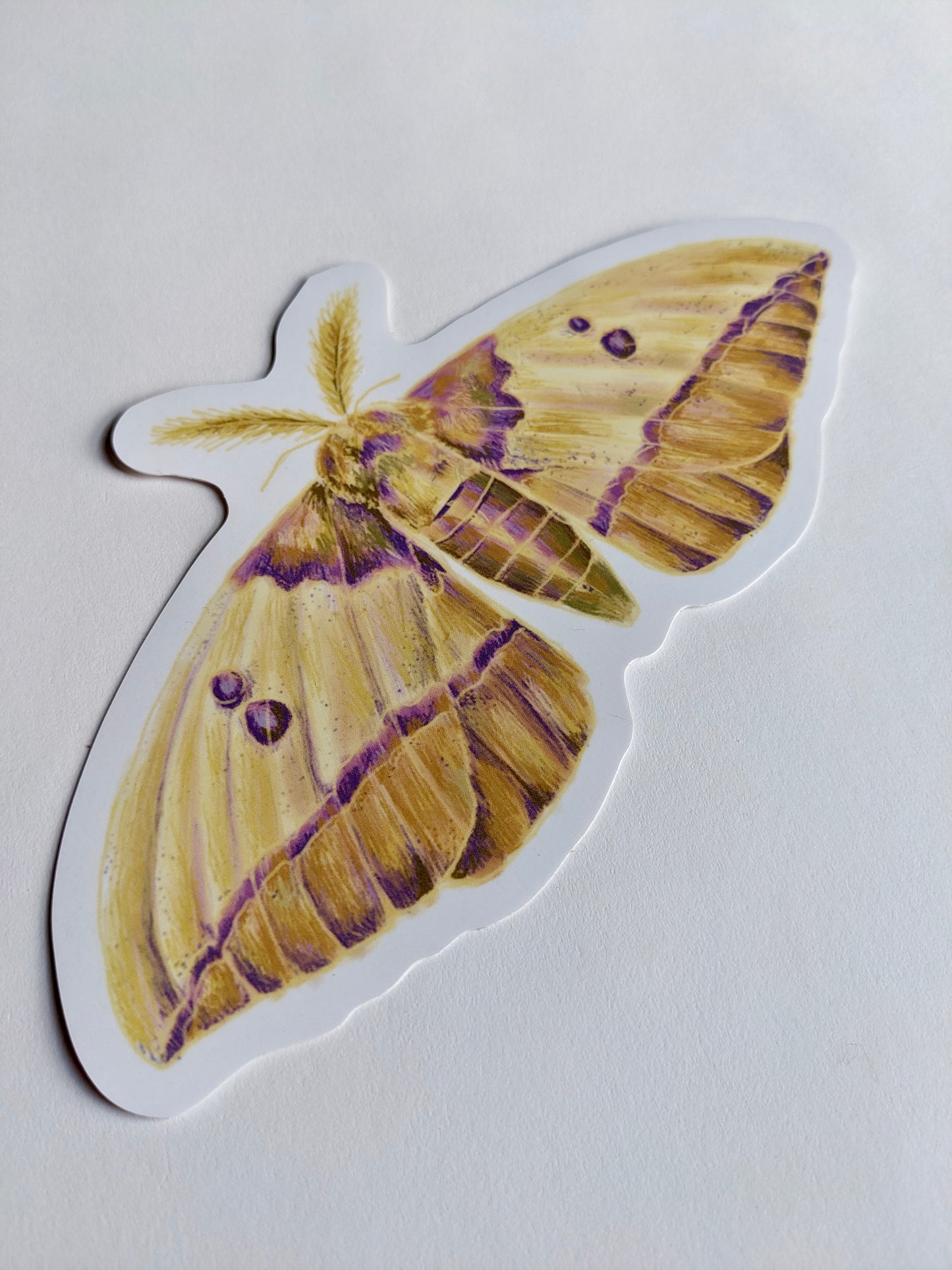 Gigantic Moth Sticker