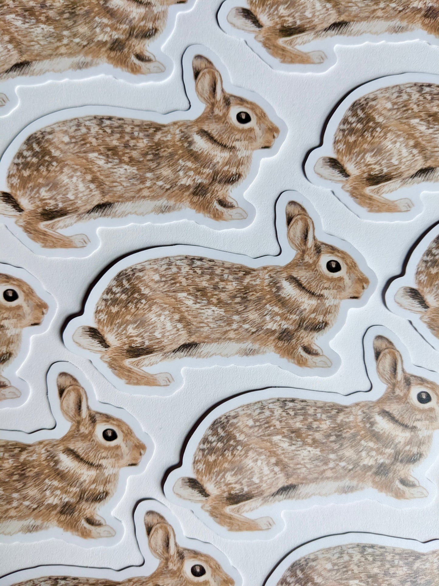 Bunny Sticker