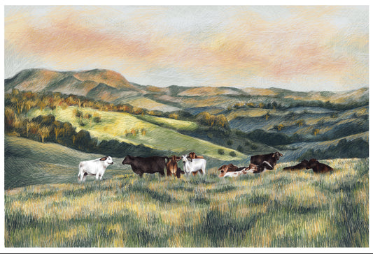 “Grazing Cows" - 19" x 13" Digital Art Print