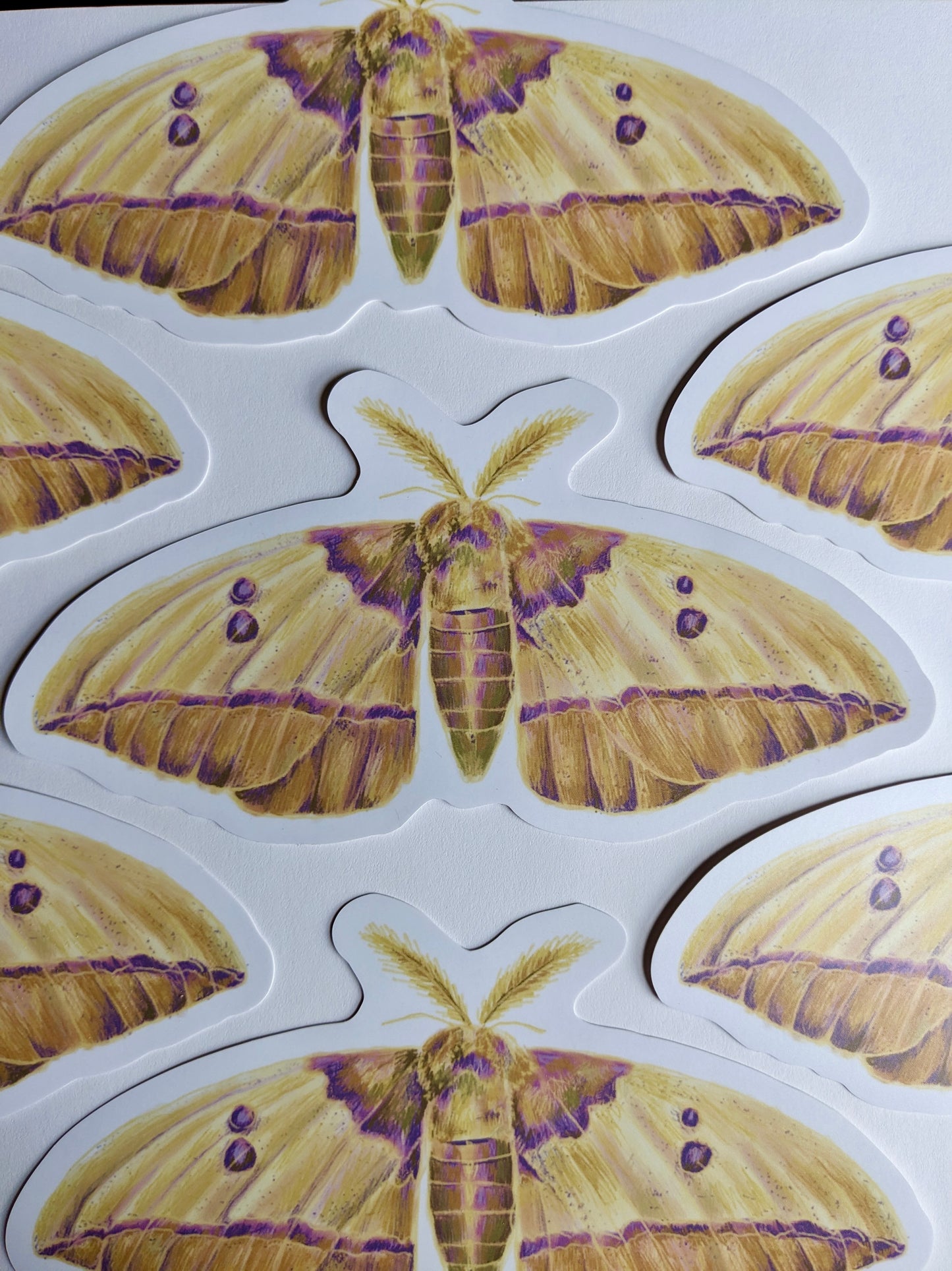 Gigantic Moth Sticker