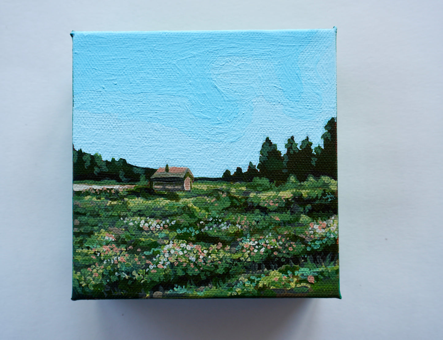 “Home on a Hill” - Original Acrylic Painting