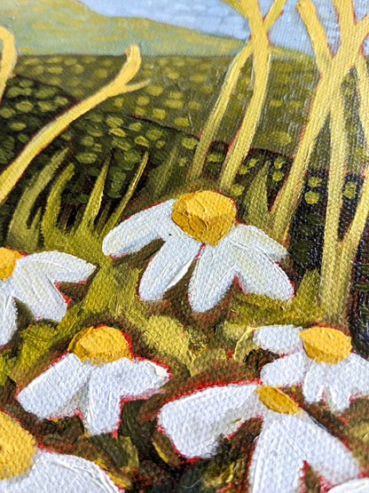 “My Daisies” - 11x14 Original Oil Painting