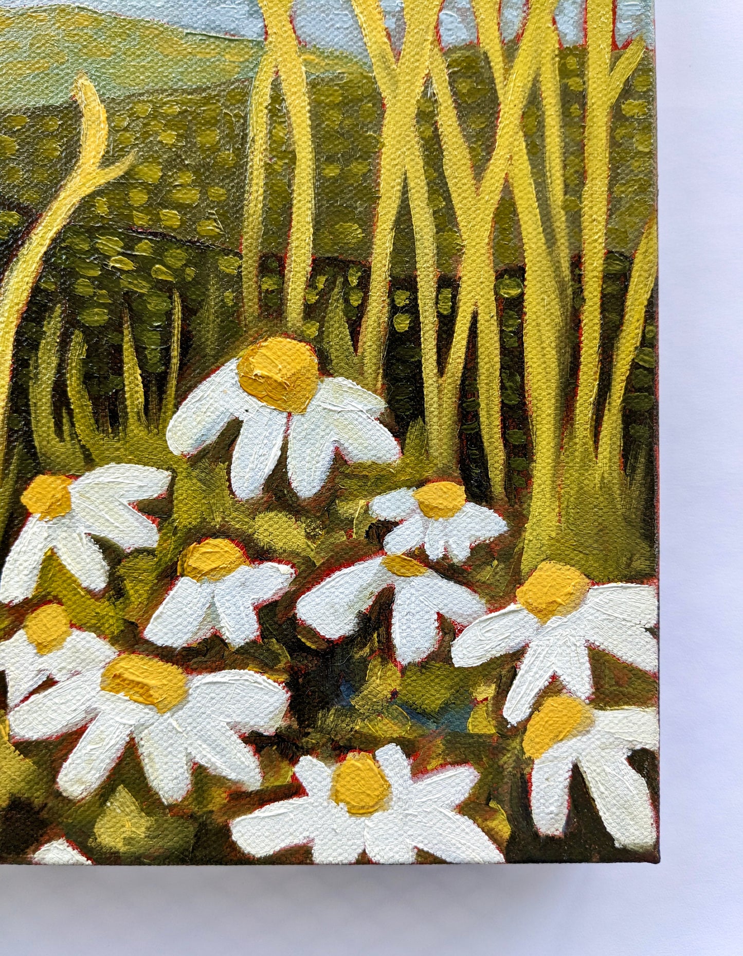 “My Daisies” - 11x14 Original Oil Painting