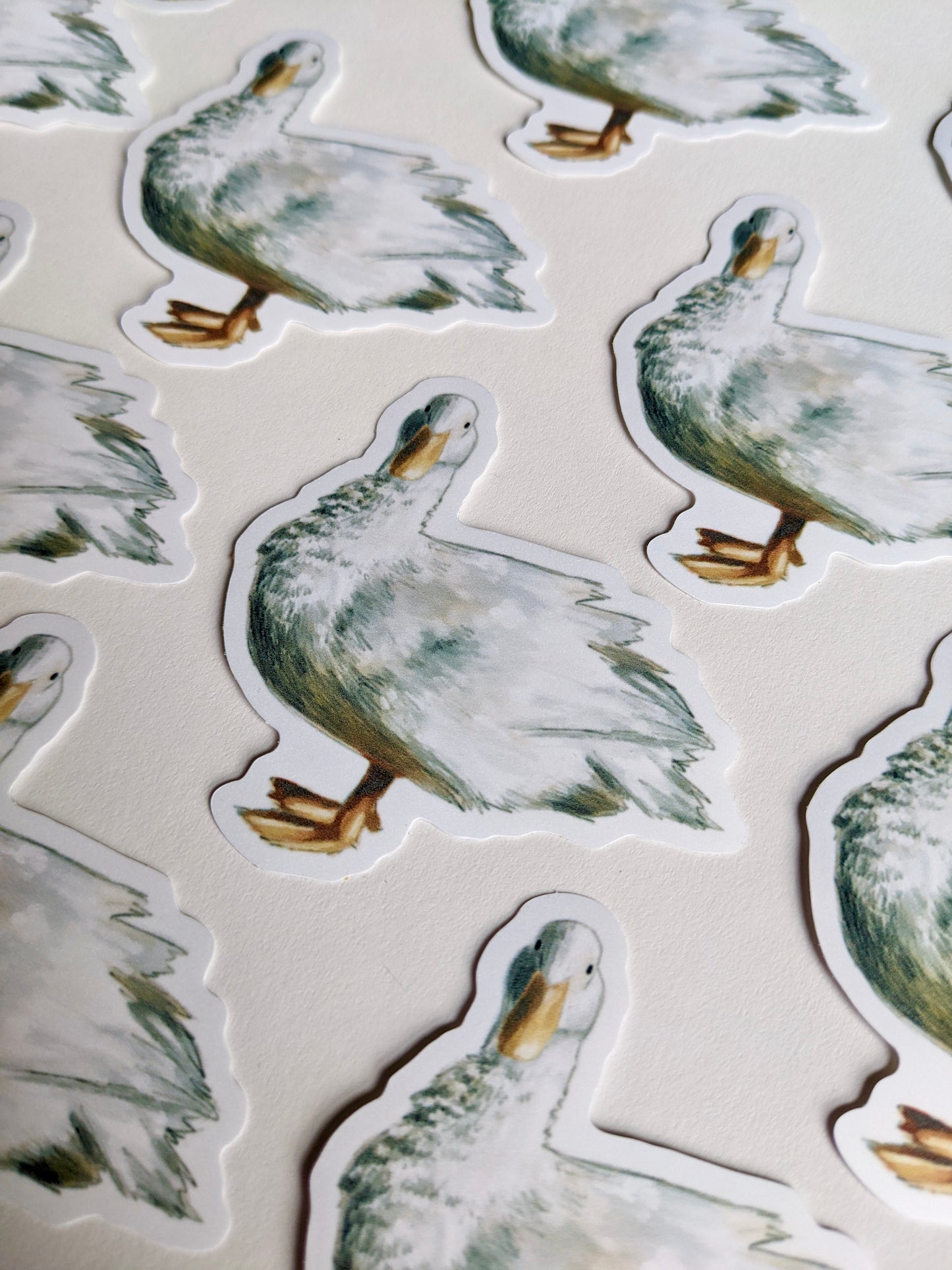 White Duck Sticker