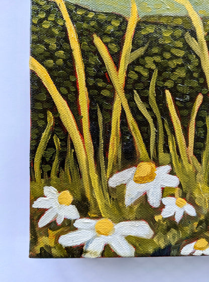 “My Daisies” - 11x14 Original Oil Painting