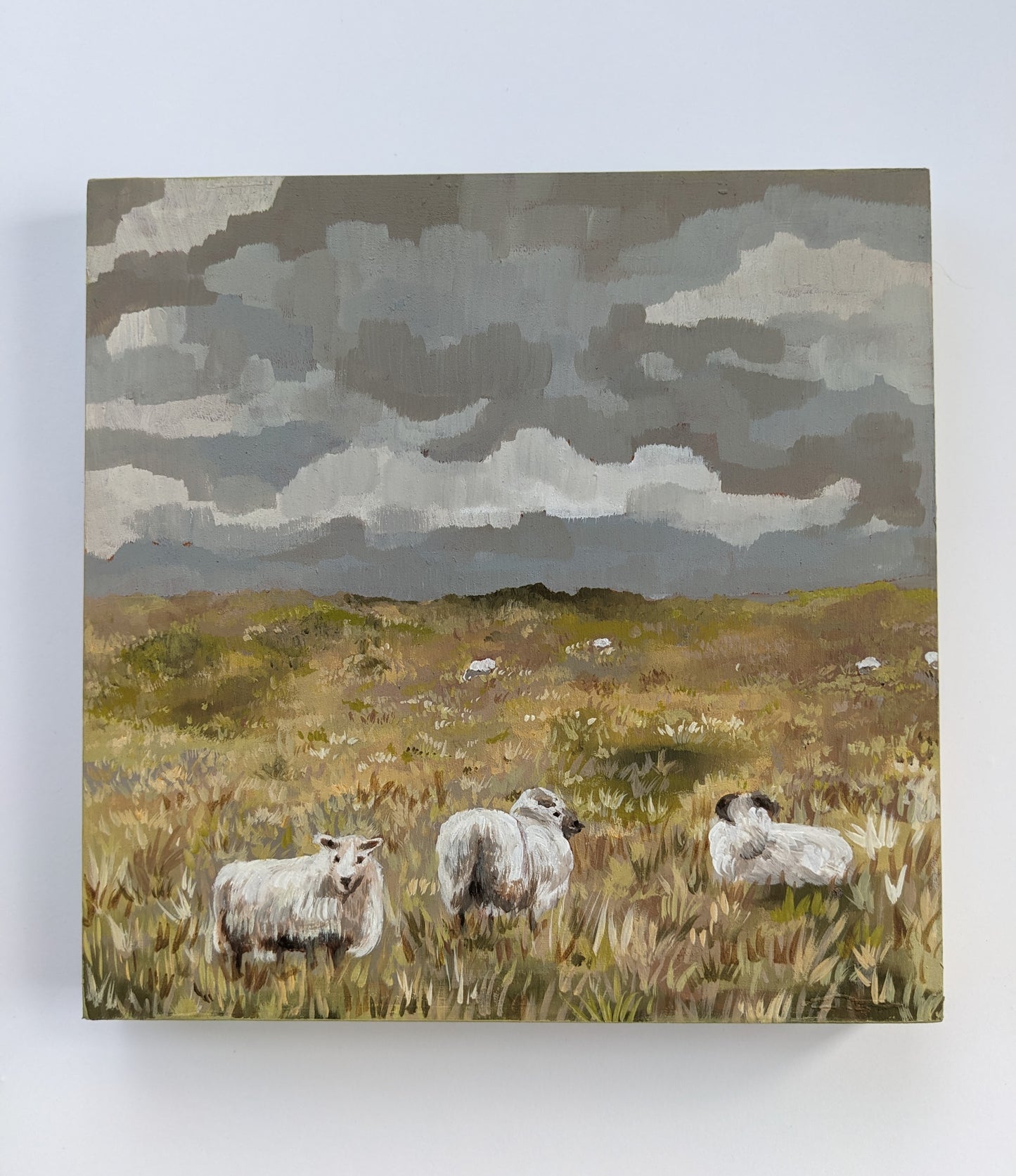 “Sheepies” - 8x8 Original Acrylic Painting