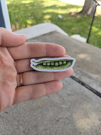 Pea Face Sticker