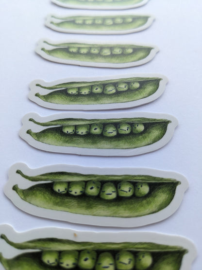 Pea Face Sticker