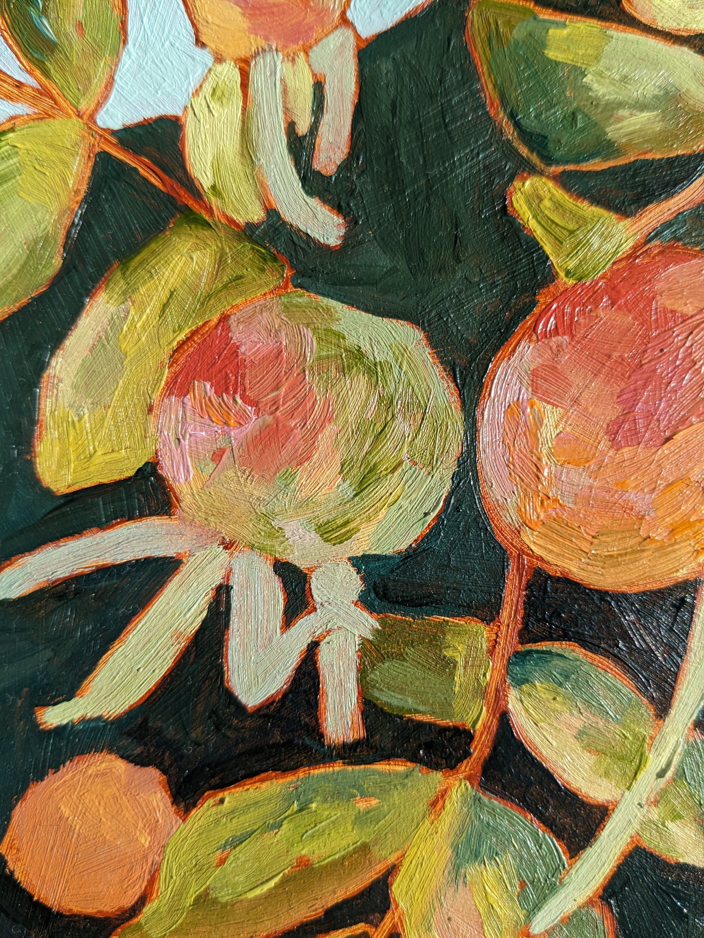 “Rugosa Rose Hips” - 6x6 Original Oil Painting