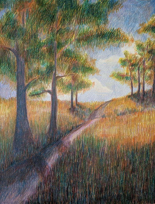 “Childhood Walks” - 11x14 Original Colored pencils