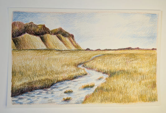 “Where the Grass Grows Golden” - 8x5 Original Colored pencils